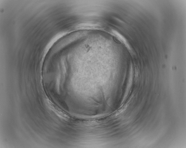 X0000072971435200608111705