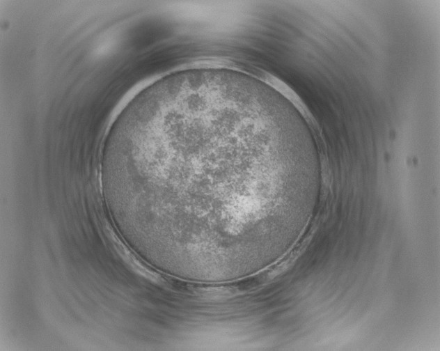 X0000072971436200608111705