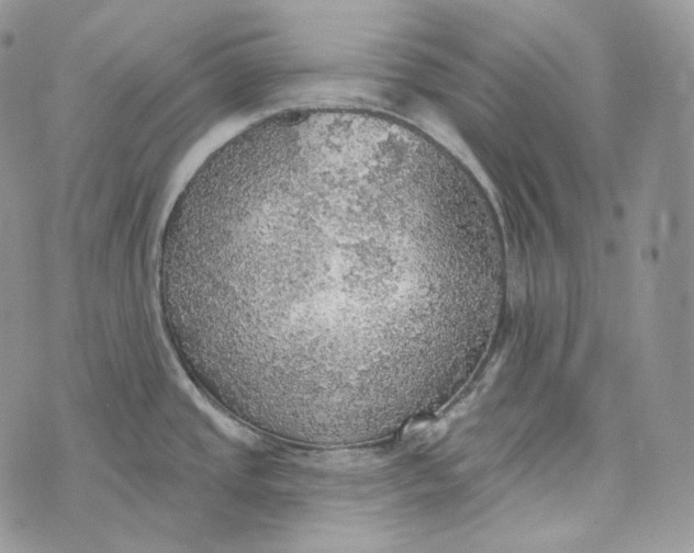 X0000072971437200608111705