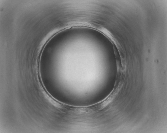 X0000072971438200608111705