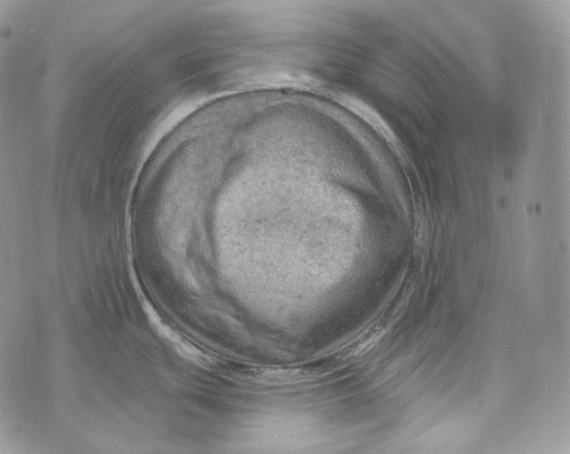 X0000072971439200608111705