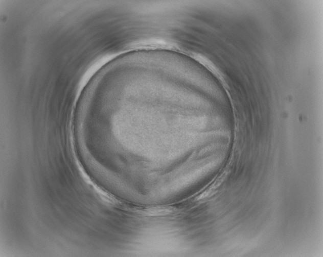 X0000072971440200608111705