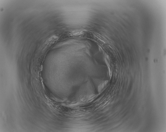 X0000072971441200608111704