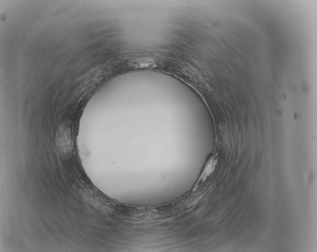 X0000072971442200608111704