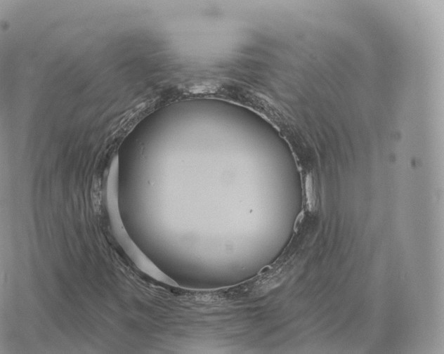 X0000072971443200608111704