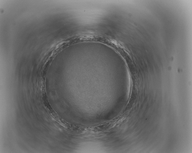 X0000072971445200608111704