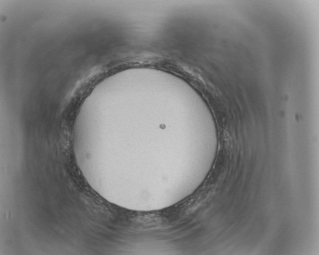 X0000072971447200608111704