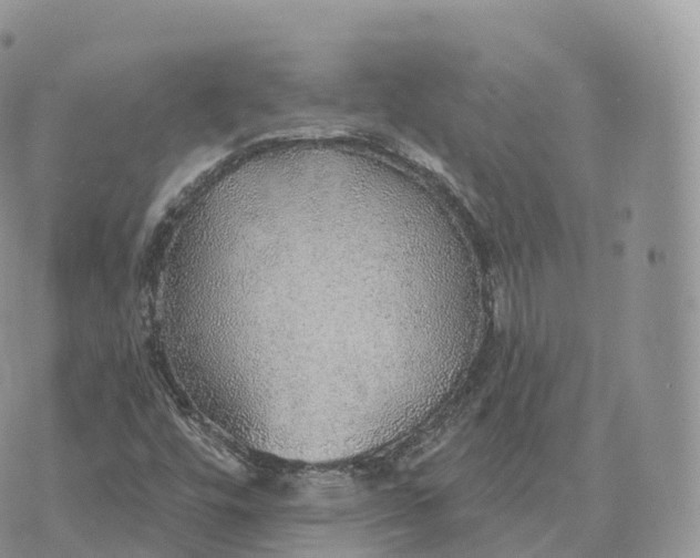 X0000072971448200608111704