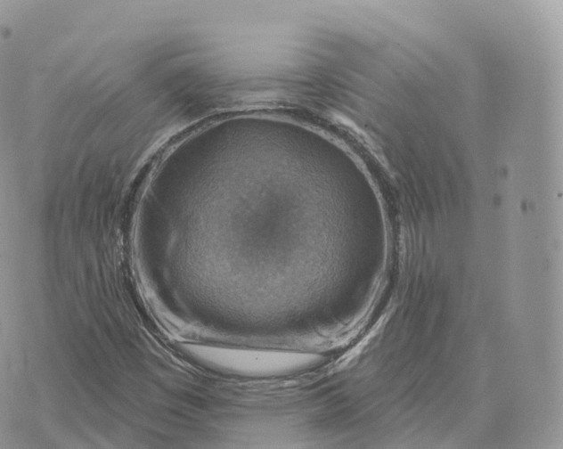 X0000072971449200608111704