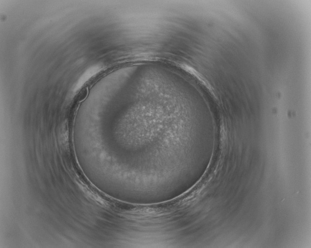 X0000072971450200608111704