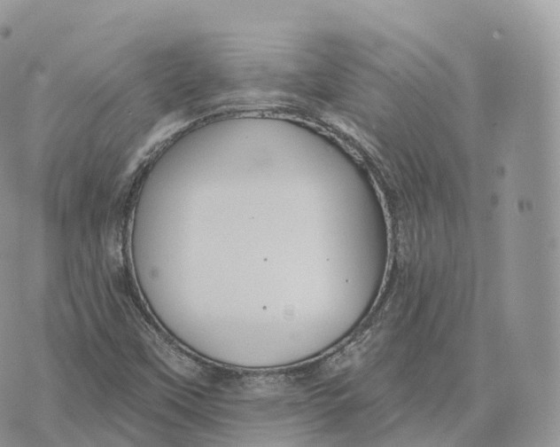 X0000072971451200608111704