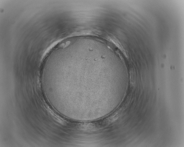 X0000072971452200608111704