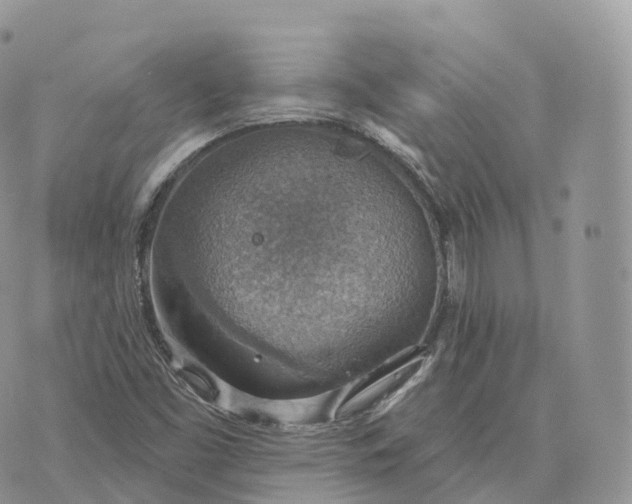 X0000072971453200608111704