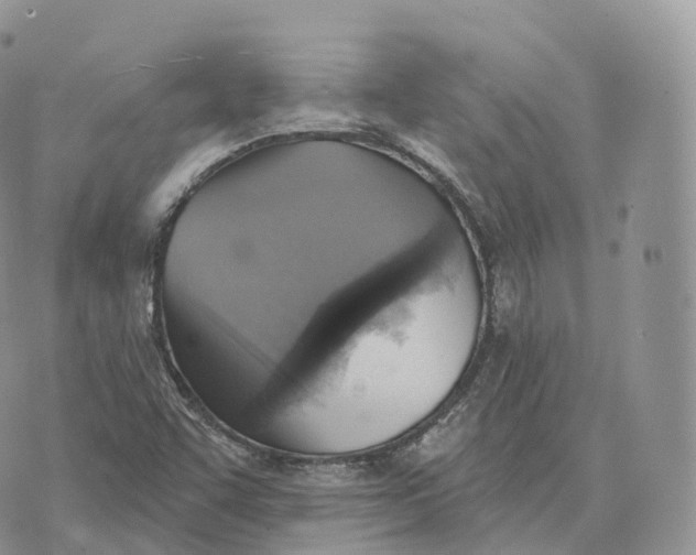 X0000072971455200608111704