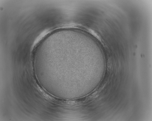 X0000072971456200608111704