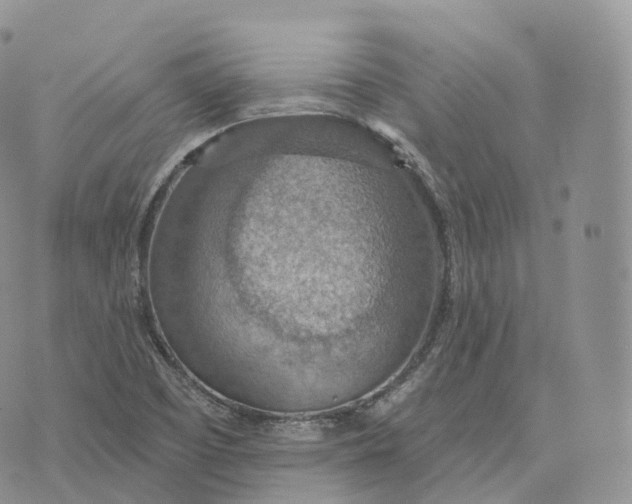 X0000072971457200608111704