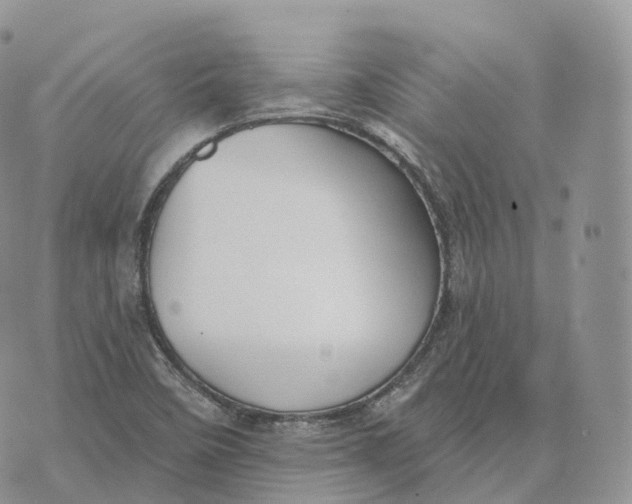 X0000072971458200608111704