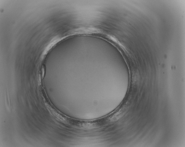 X0000072971459200608111704