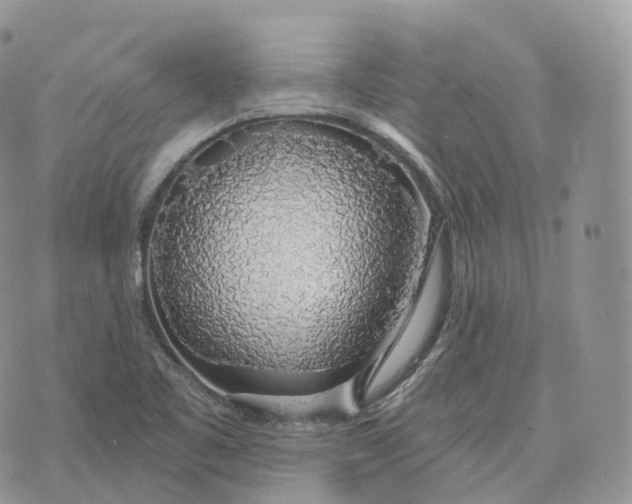 X0000072971461200608111704