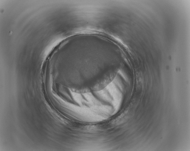 X0000072971463200608111704