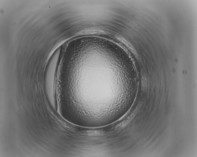 X0000072971465200608111704