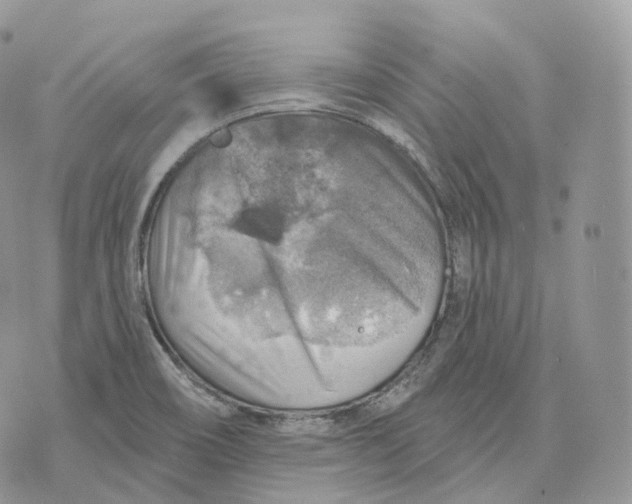 X0000072971466200608111704