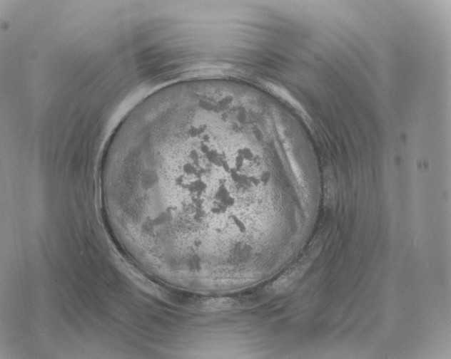 X0000072971467200608111704