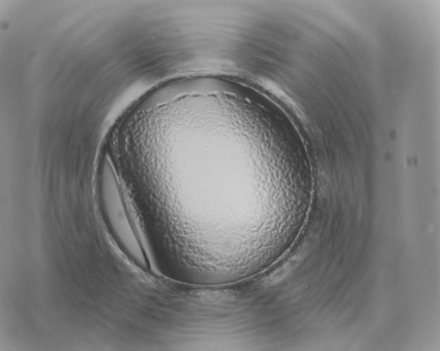 X0000072971469200608111704