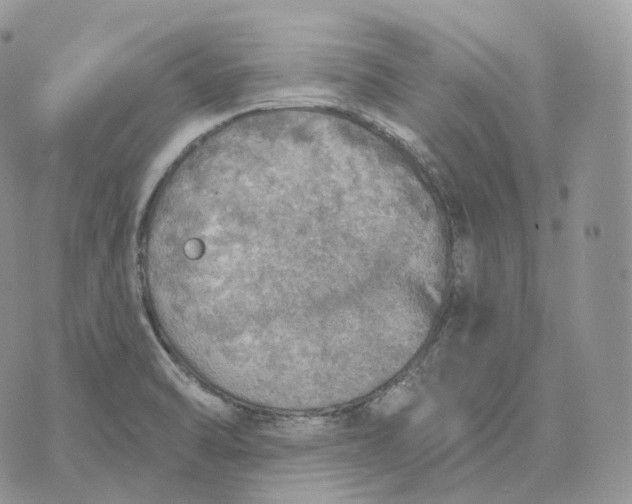 X0000072971470200608111704