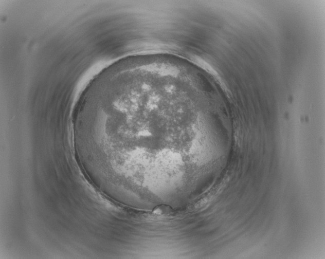 X0000072971472200608111703