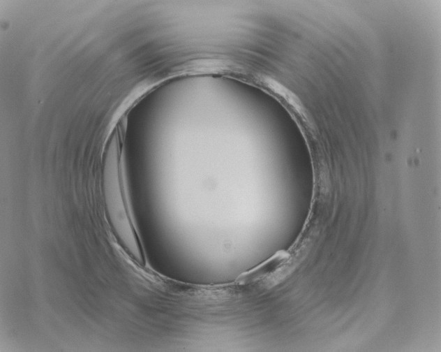 X0000072971473200608111703