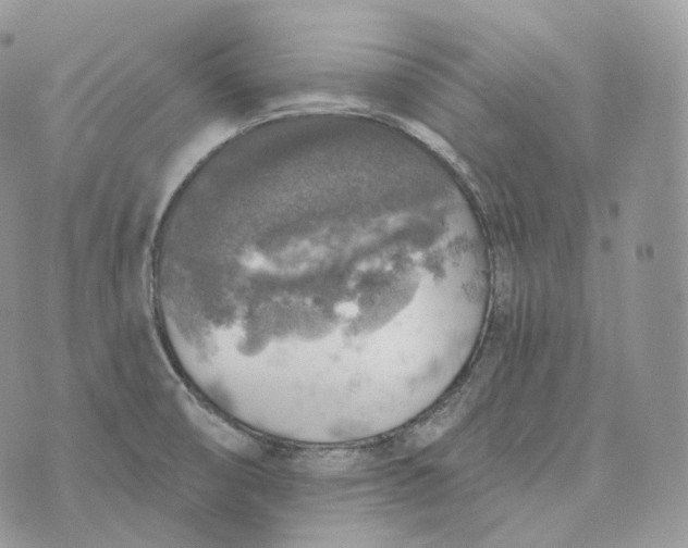 X0000072971474200608111703