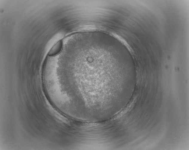 X0000072971475200608111703