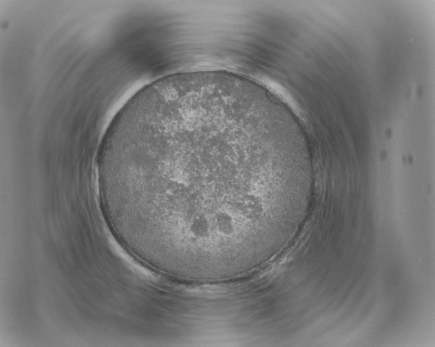 X0000072971476200608111703