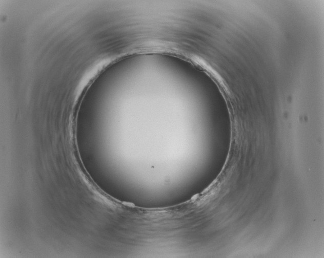 X0000072971477200608111703