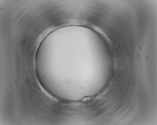 X0000072971479200608111703