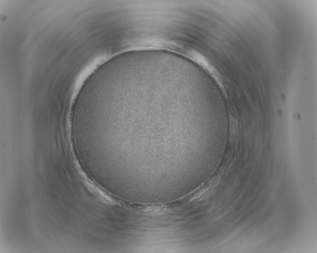 X0000072971480200608111703