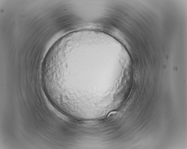 X0000072971483200608111703