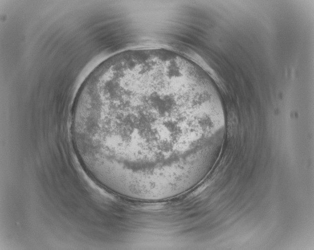 X0000072971484200608111703