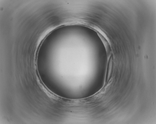 X0000072971485200608111703