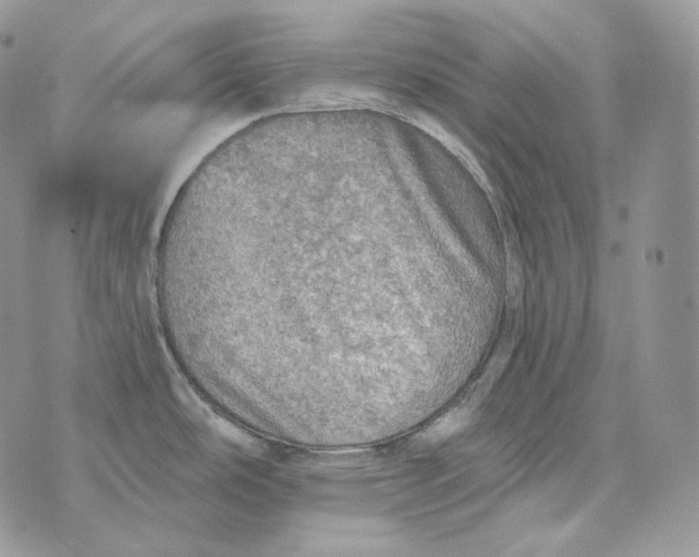 X0000072971486200608111703