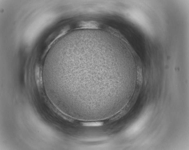 X0000072971487200608111703