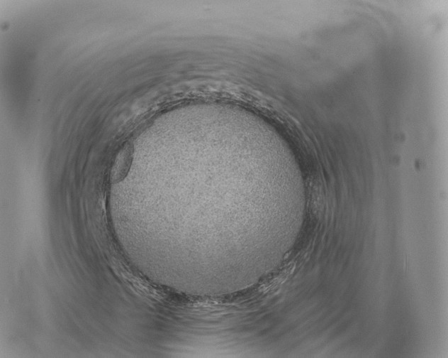 X0000072971489200608111702