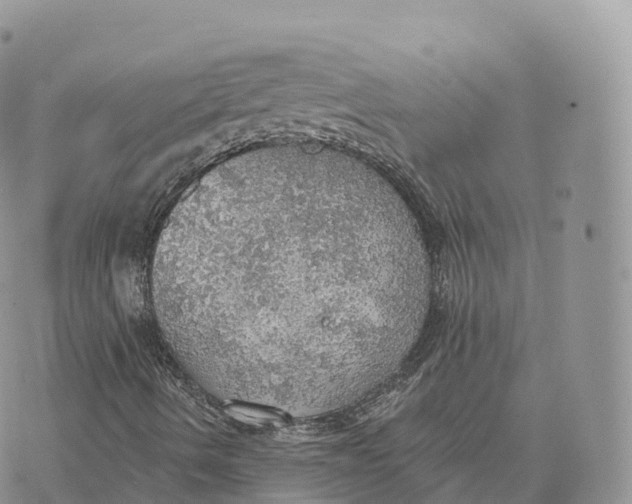 X0000072971490200608111702