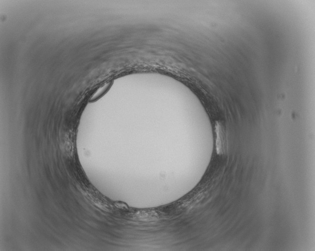 X0000072971491200608111702