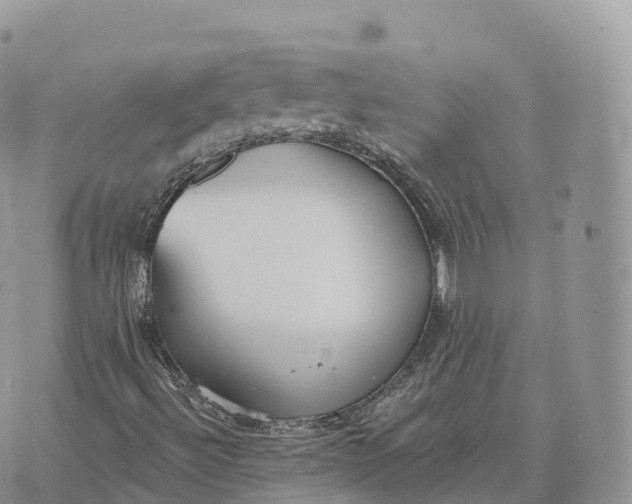 X0000072971492200608111702