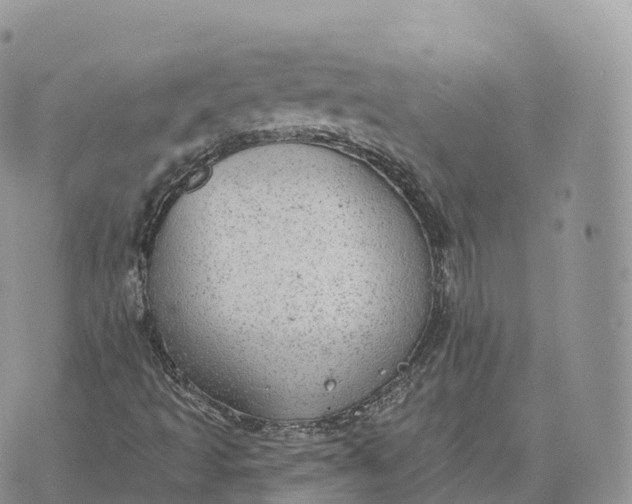 X0000072971493200608111702