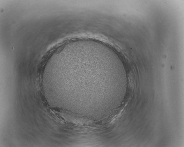 X0000072971494200608111703