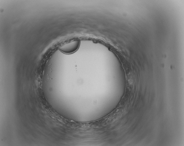 X0000072971495200608111703