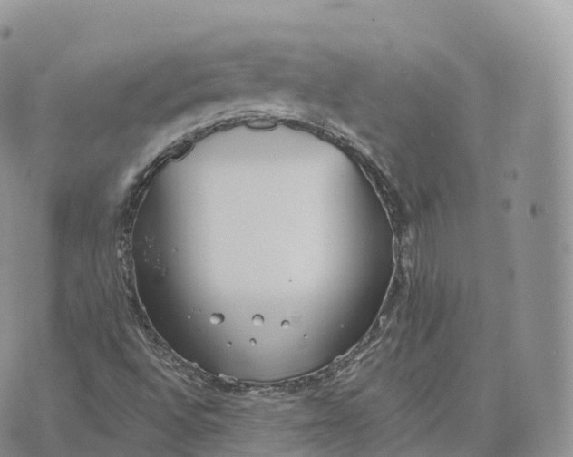 X0000072971496200608111703